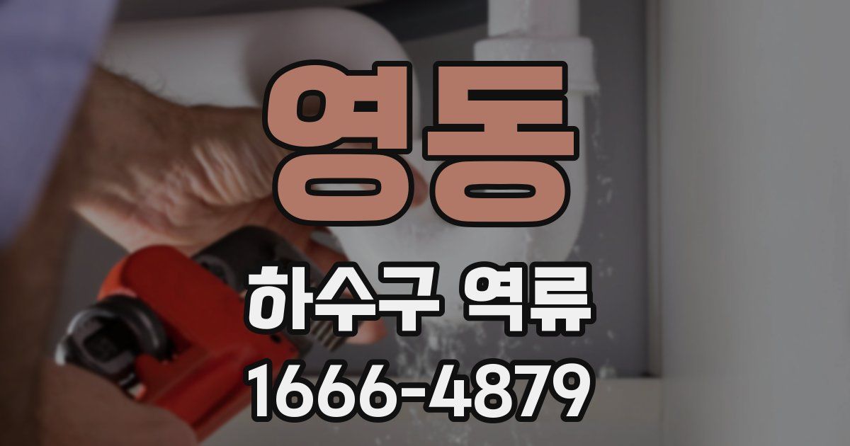 영동 하수구 역류