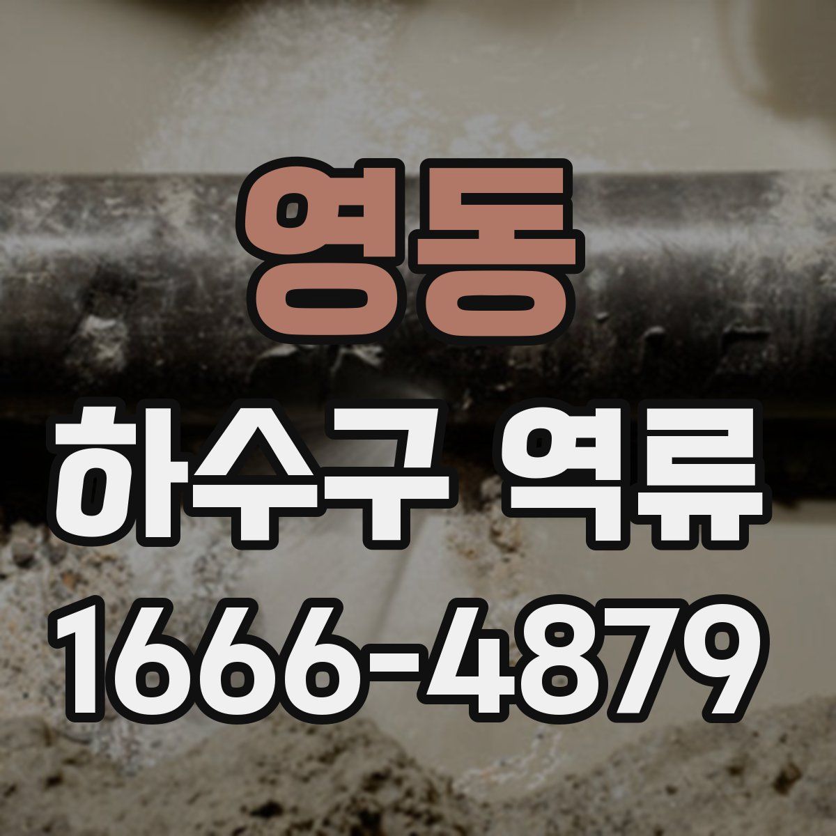 영동 하수구 역류