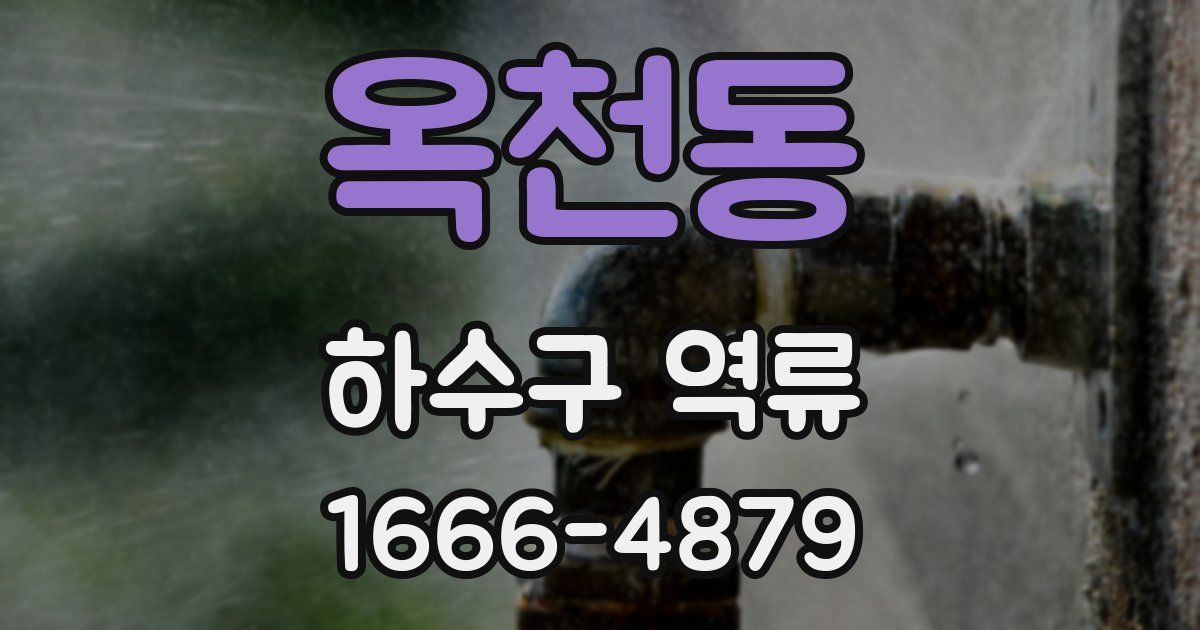 옥천동 하수구 역류