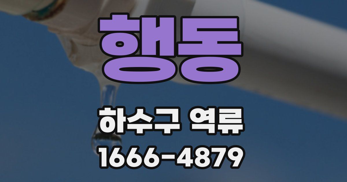 행동 하수구 역류