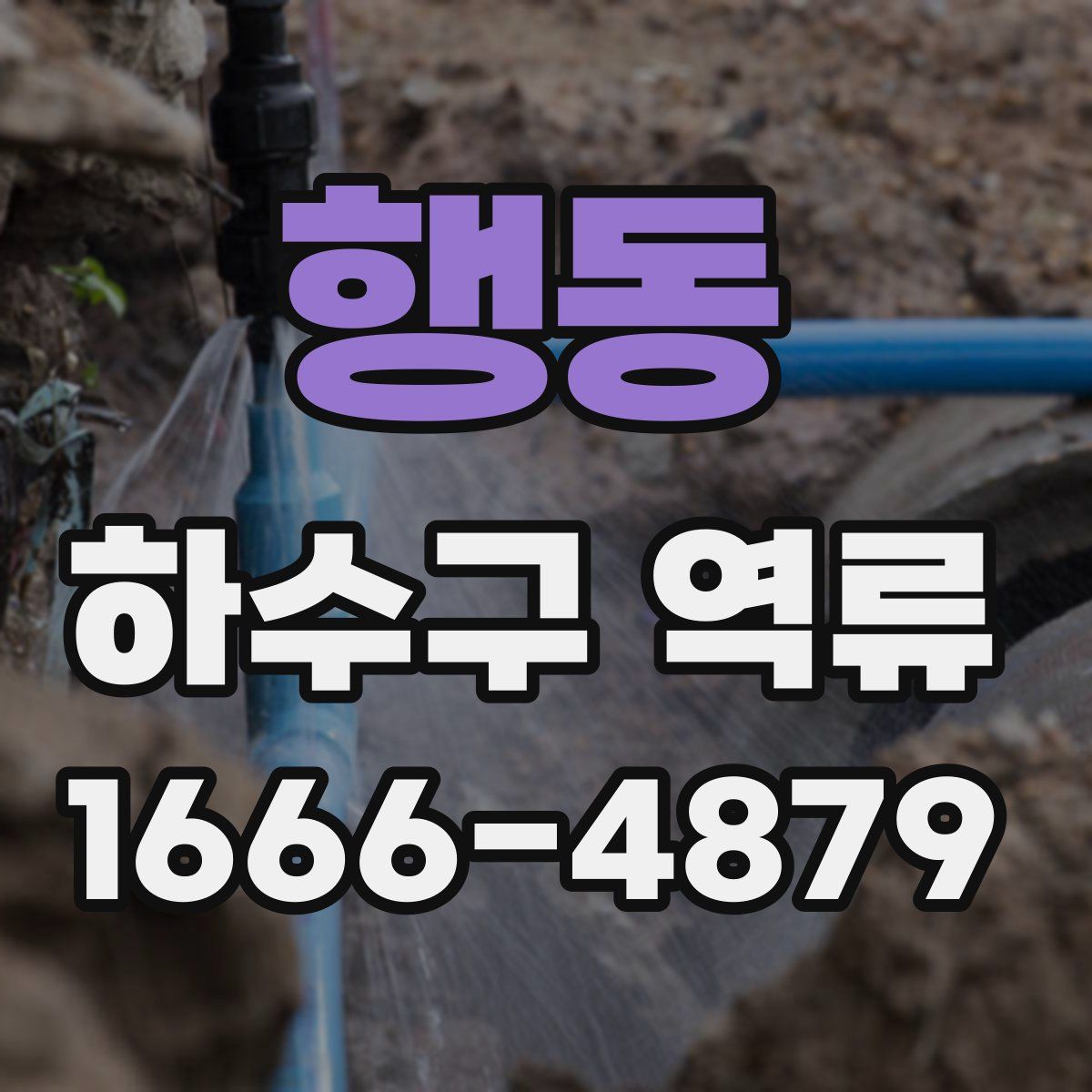 행동 하수구 역류