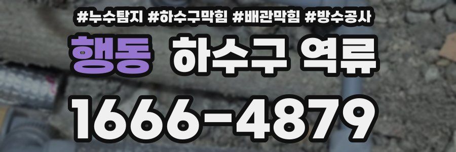 행동 하수구 역류