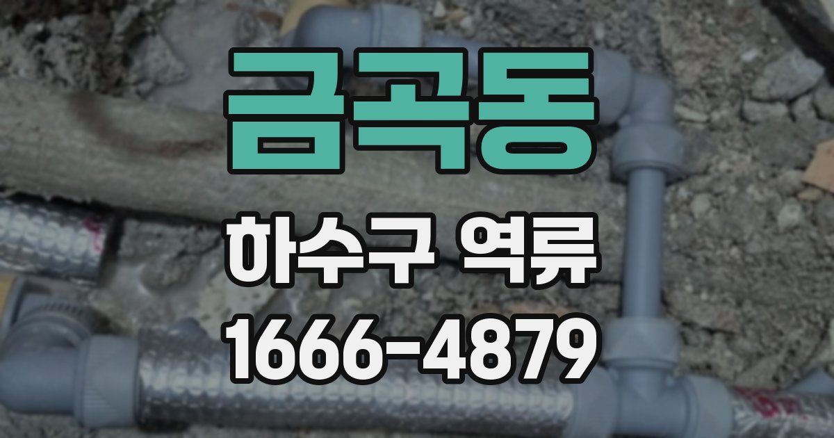 금곡동 하수구 역류