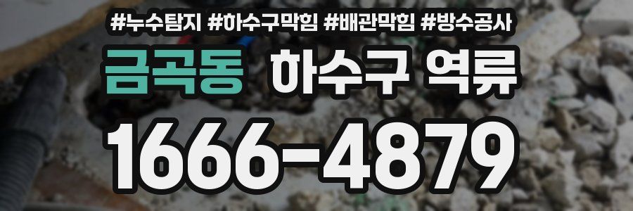 금곡동 하수구 역류