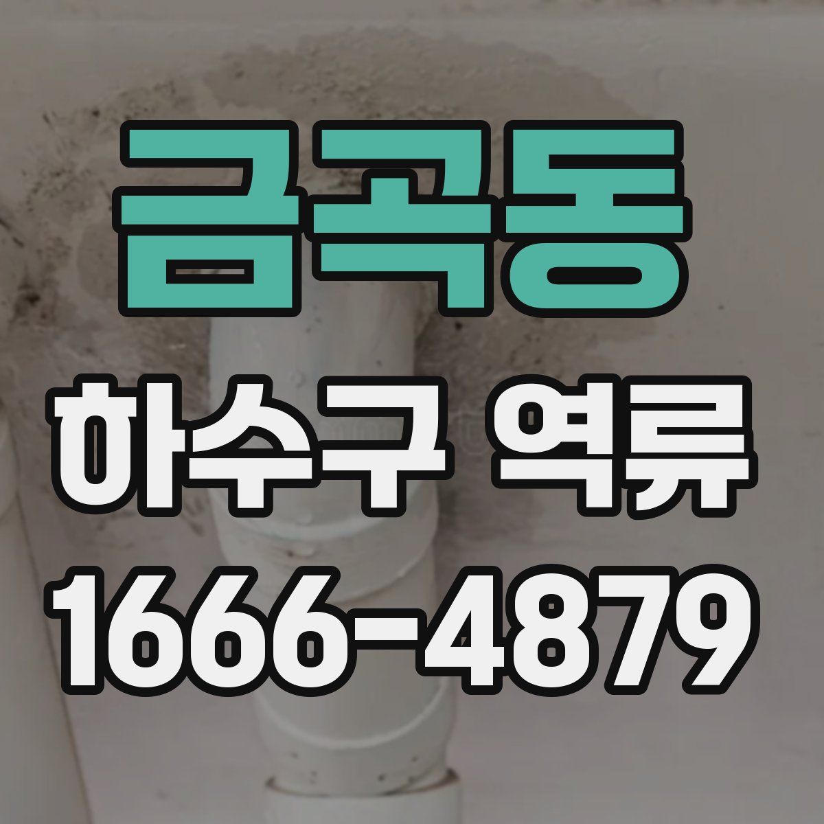 금곡동 하수구 역류