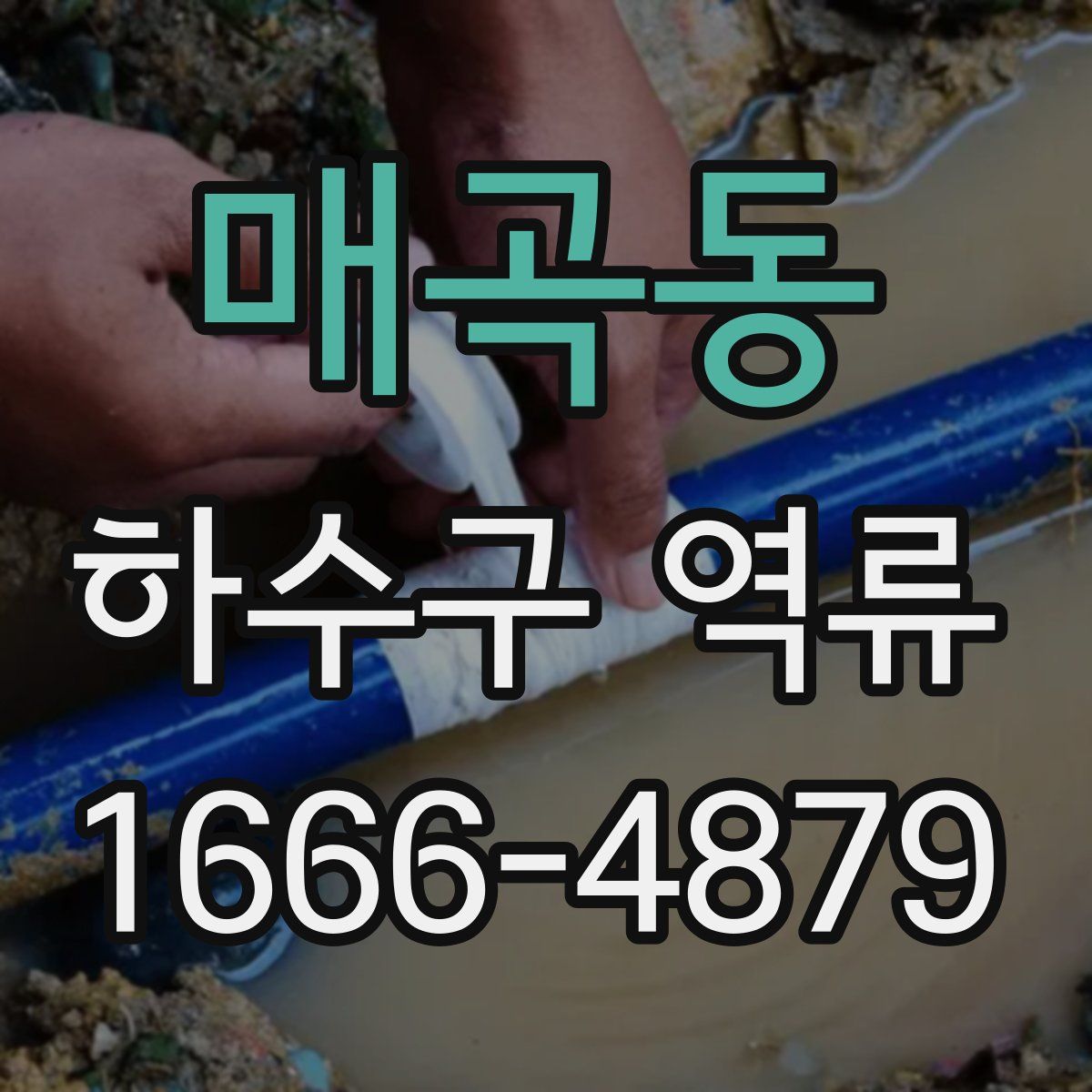 매곡동 하수구 역류
