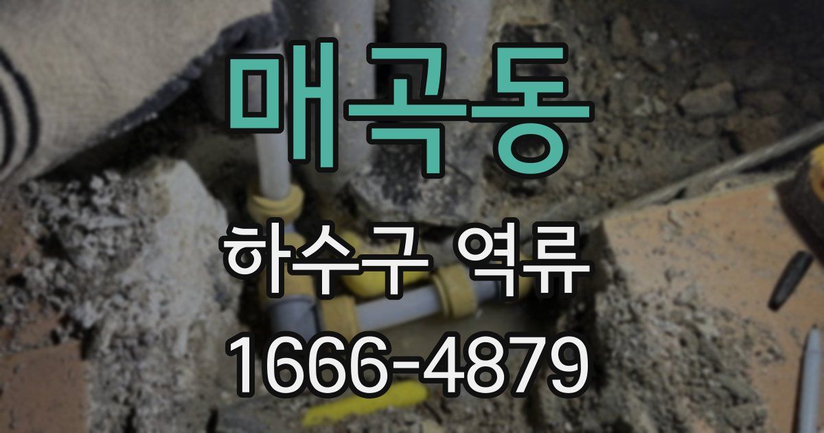 매곡동 하수구 역류