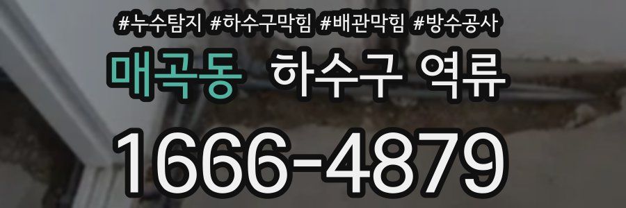 매곡동 하수구 역류