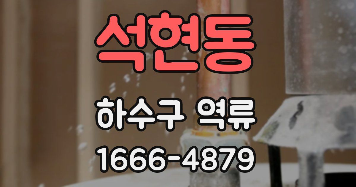 석현동 하수구 역류
