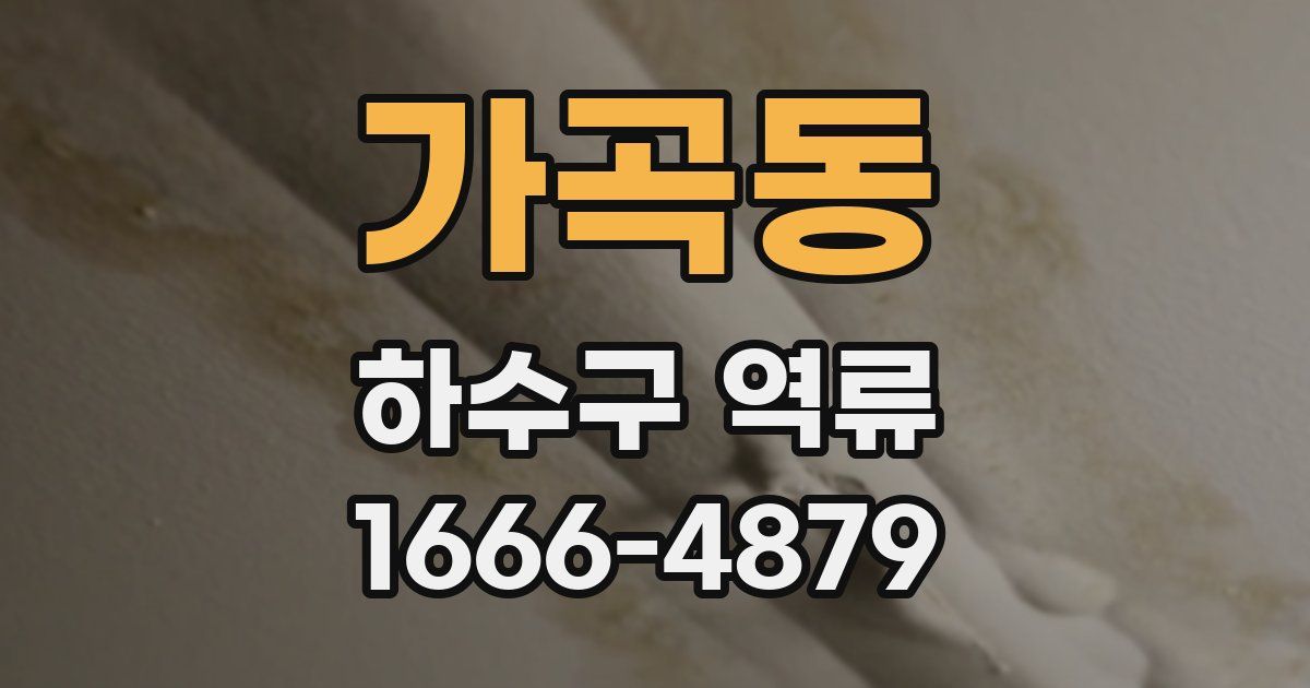 가곡동 하수구 역류
