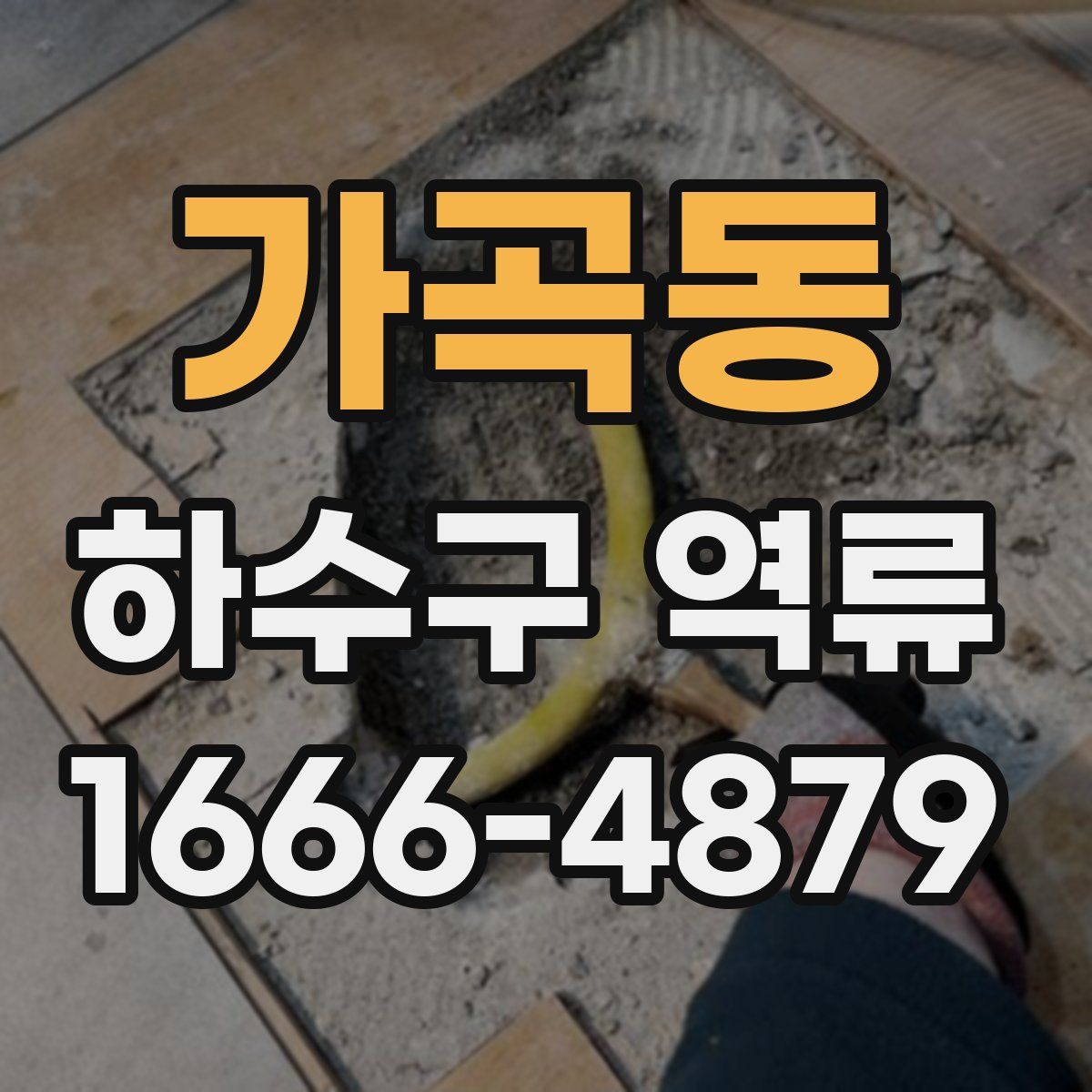 가곡동 하수구 역류