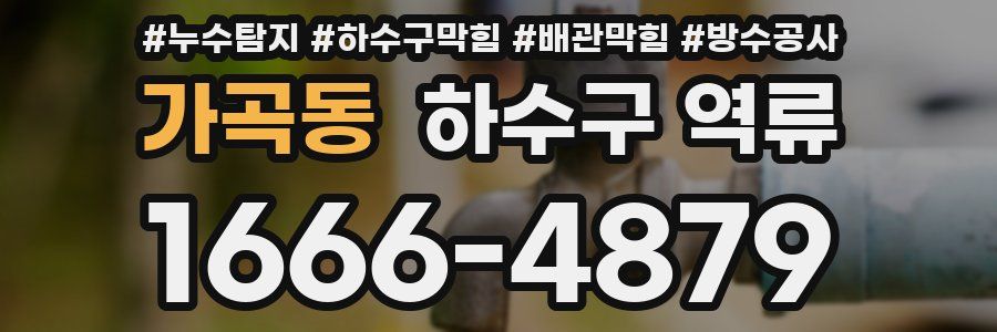 가곡동 하수구 역류