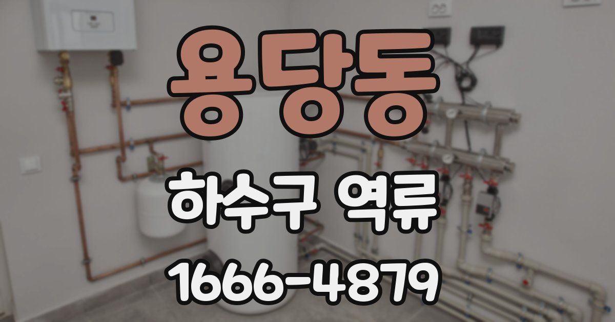 용당동 하수구 역류
