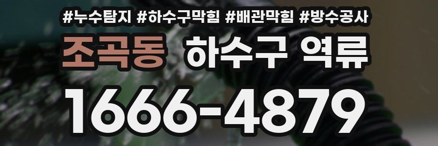 조곡동 하수구 역류