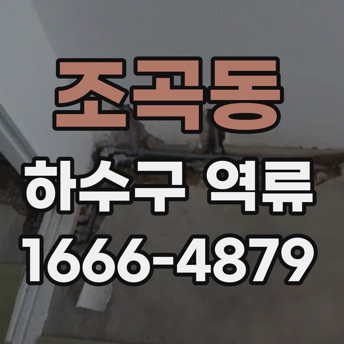 조곡동 하수구 역류