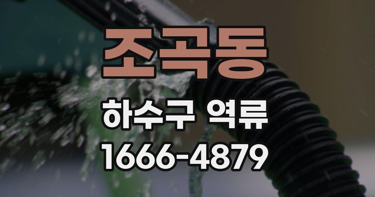 조곡동 하수구 역류