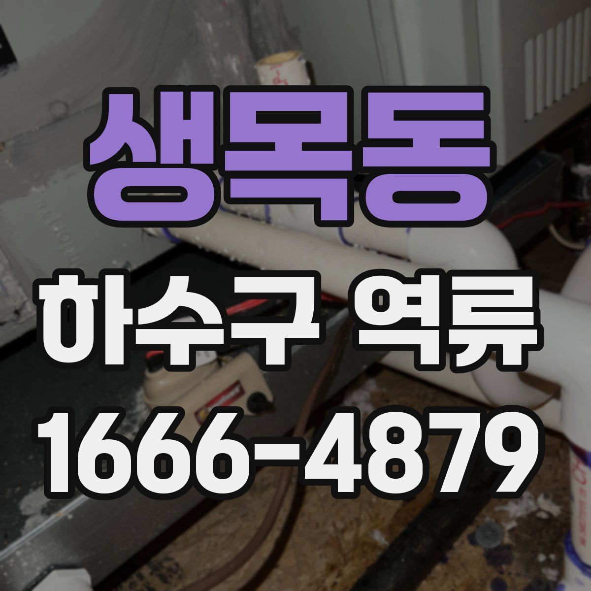 생목동 하수구 역류