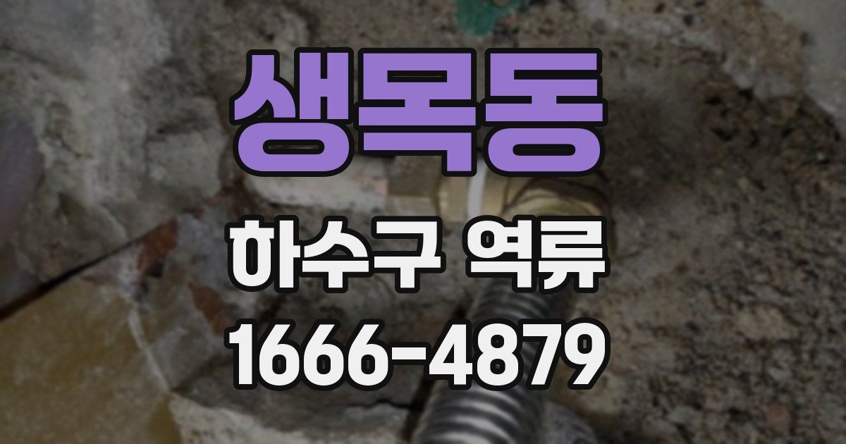 생목동 하수구 역류
