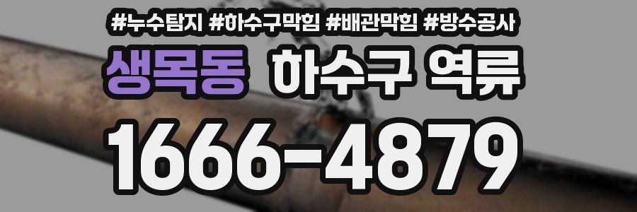 생목동 하수구 역류