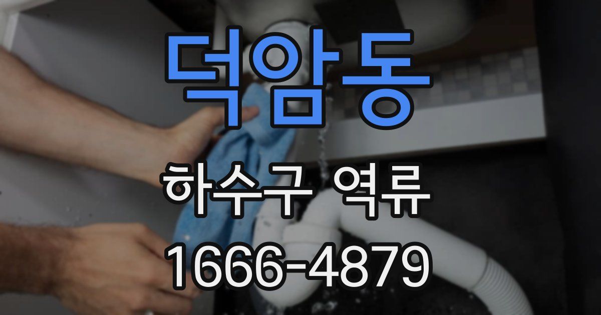 덕암동 하수구 역류