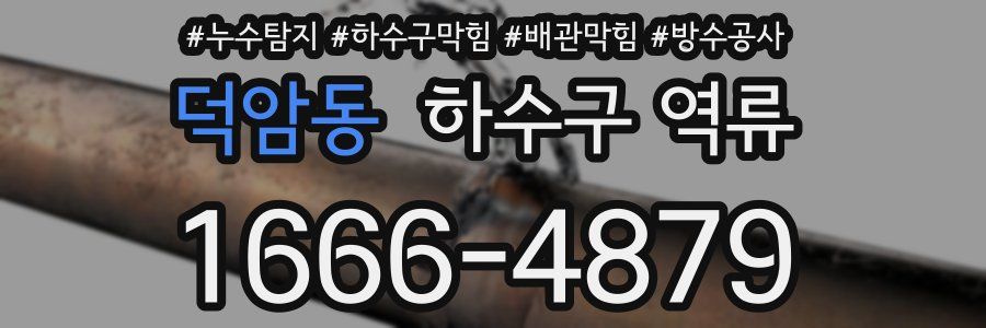 덕암동 하수구 역류
