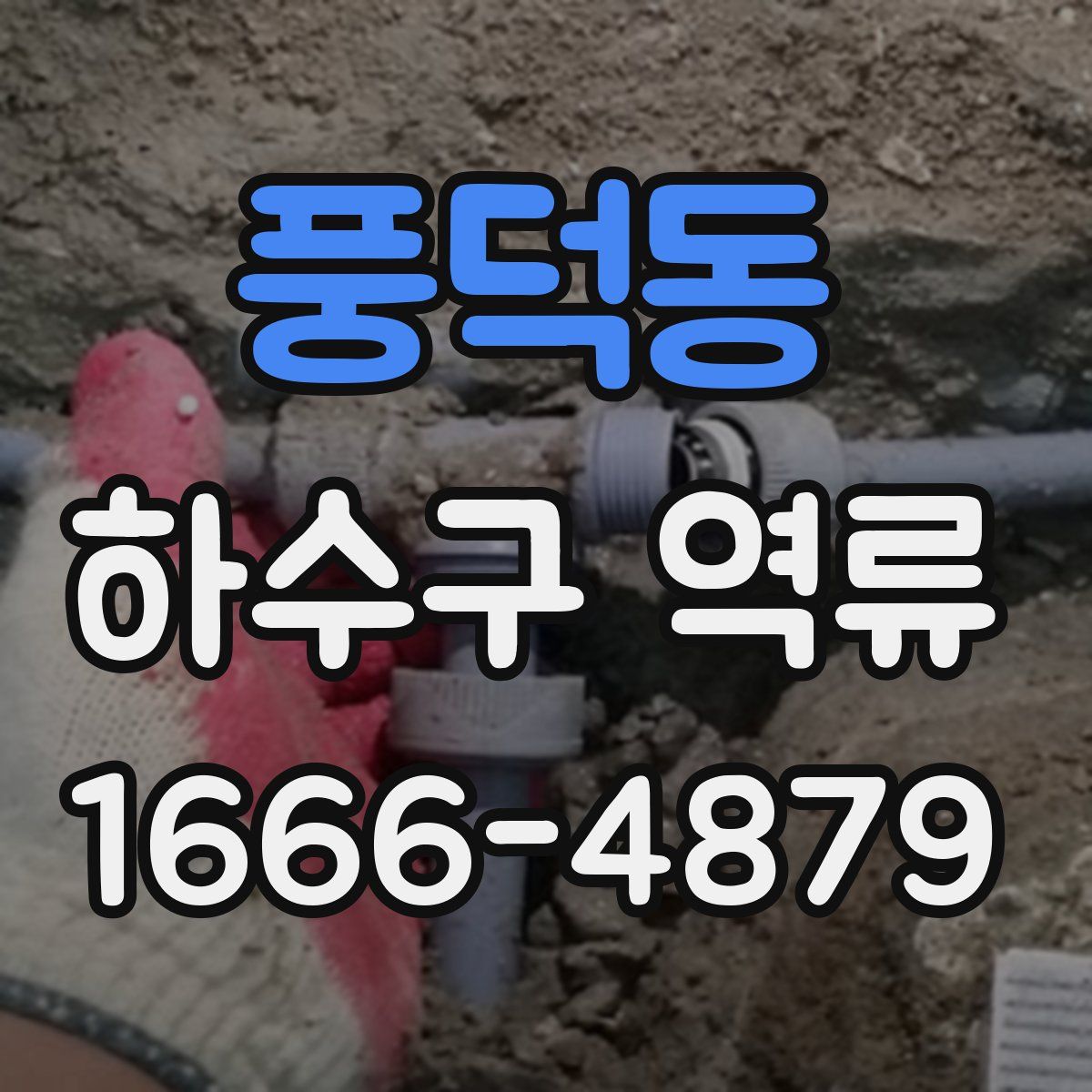 풍덕동 하수구 역류