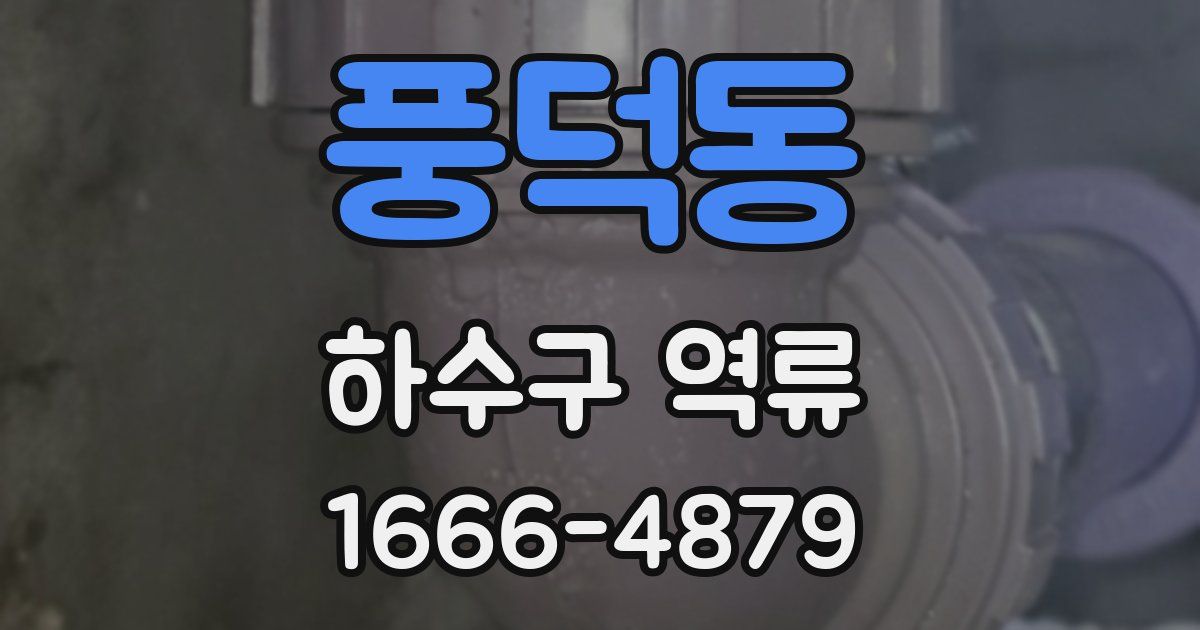 풍덕동 하수구 역류