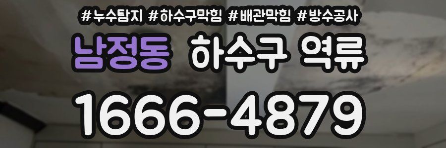 남정동 하수구 역류
