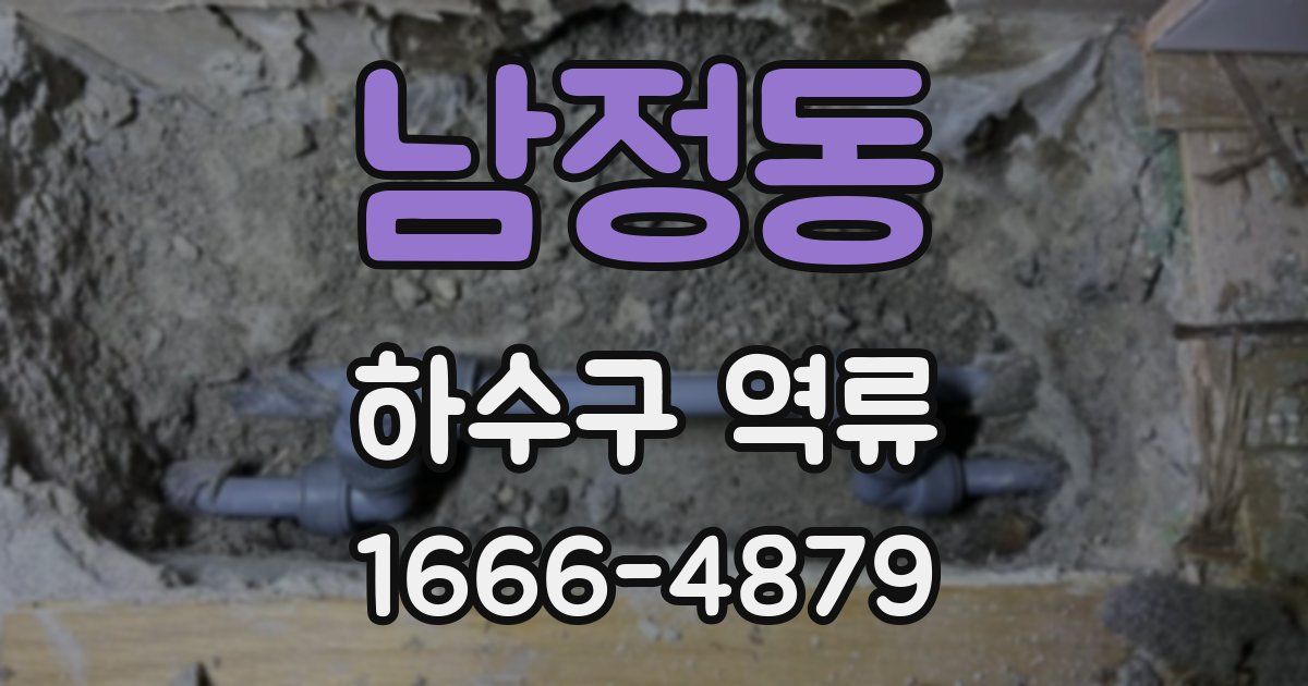 남정동 하수구 역류