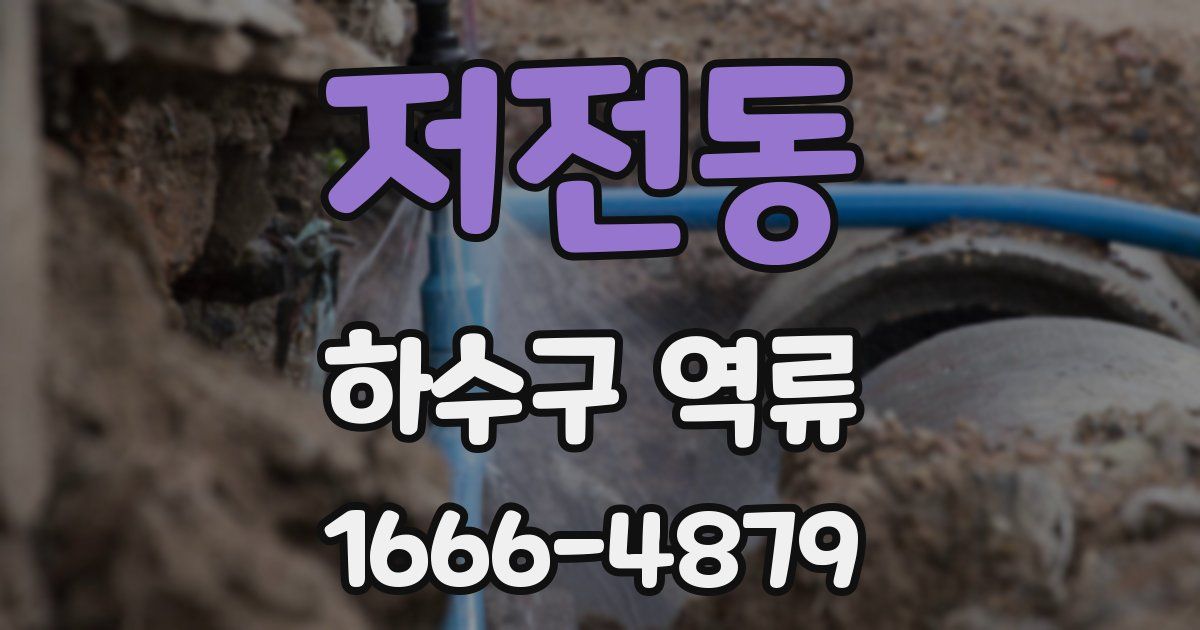 저전동 하수구 역류