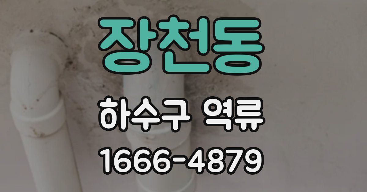 장천동 하수구 역류