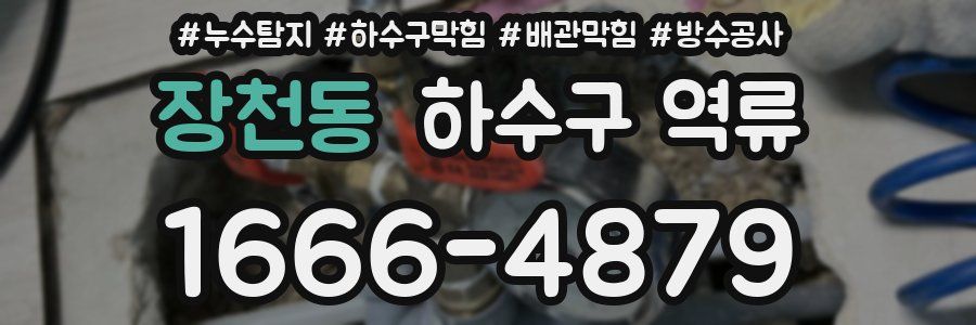 장천동 하수구 역류