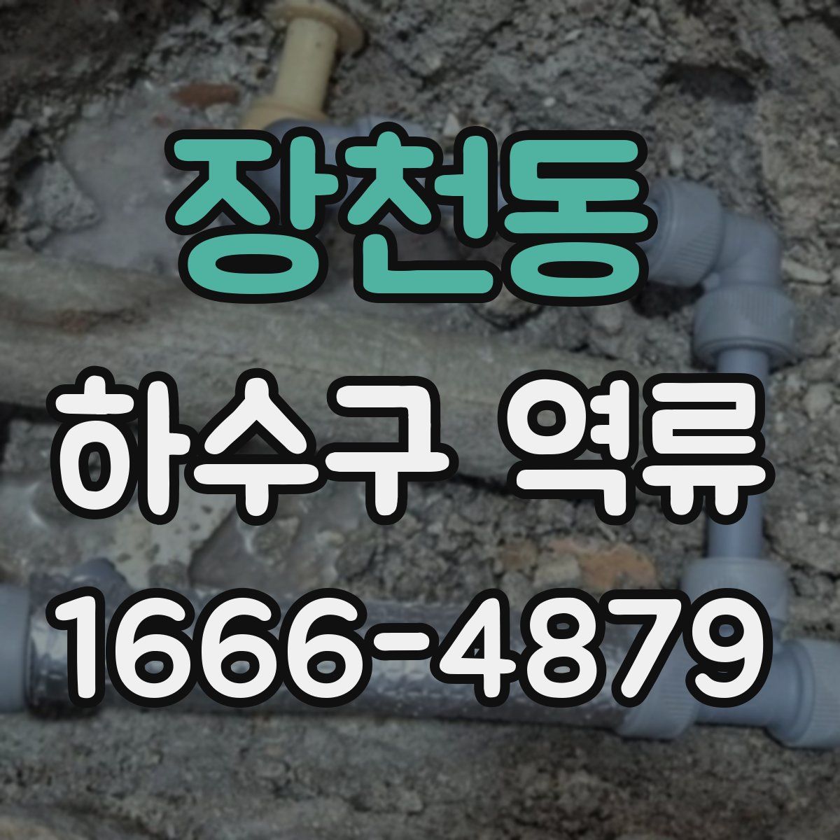 장천동 하수구 역류