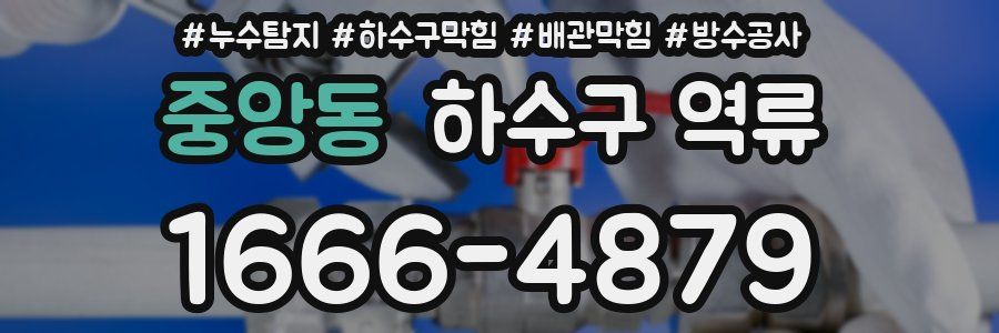 중앙동 하수구 역류