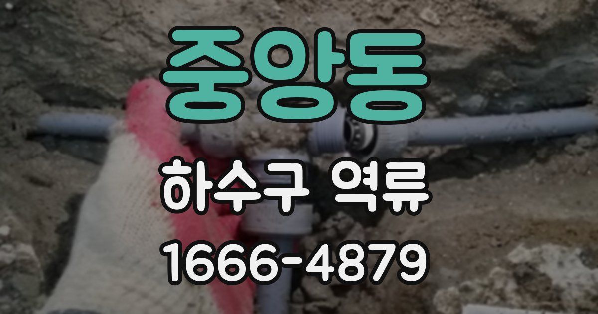 중앙동 하수구 역류