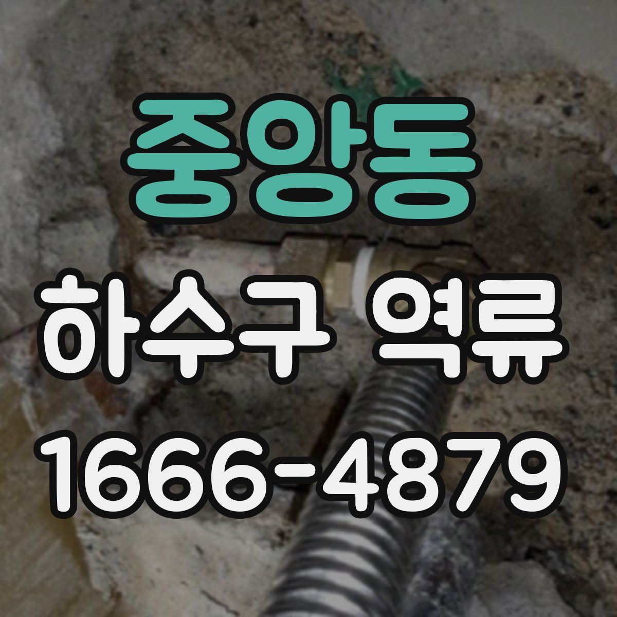 중앙동 하수구 역류