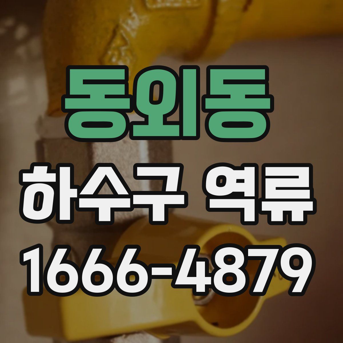 동외동 하수구 역류