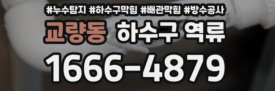 교량동 하수구 역류