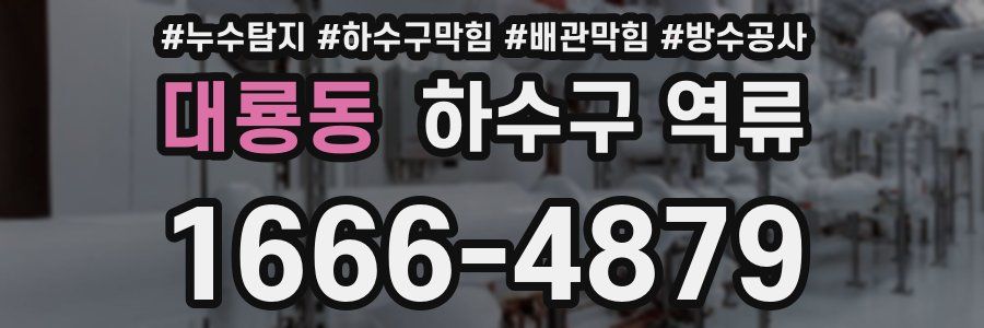 대룡동 하수구 역류