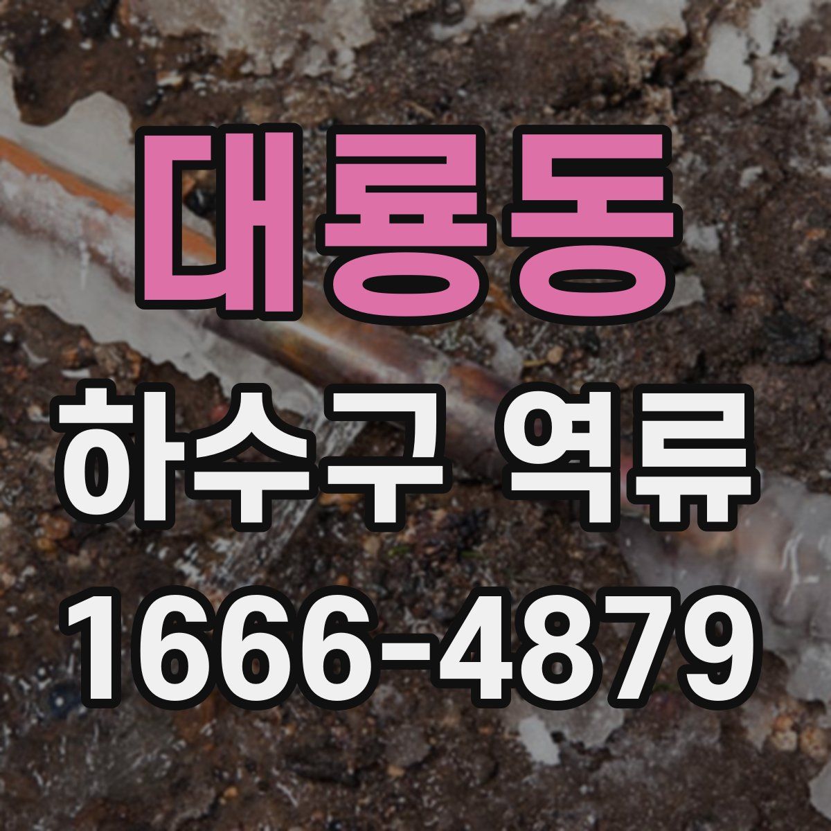 대룡동 하수구 역류