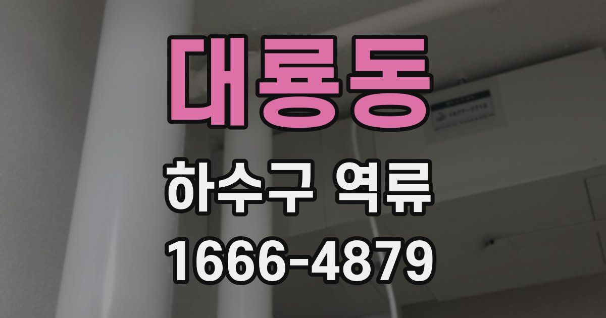 대룡동 하수구 역류