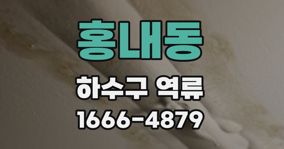 홍내동 하수구 역류