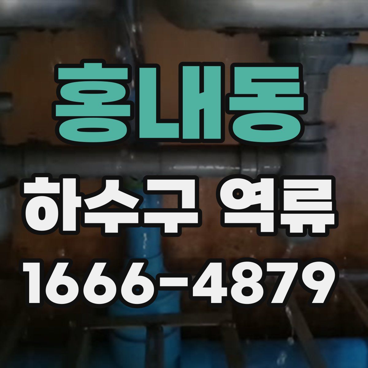 홍내동 하수구 역류
