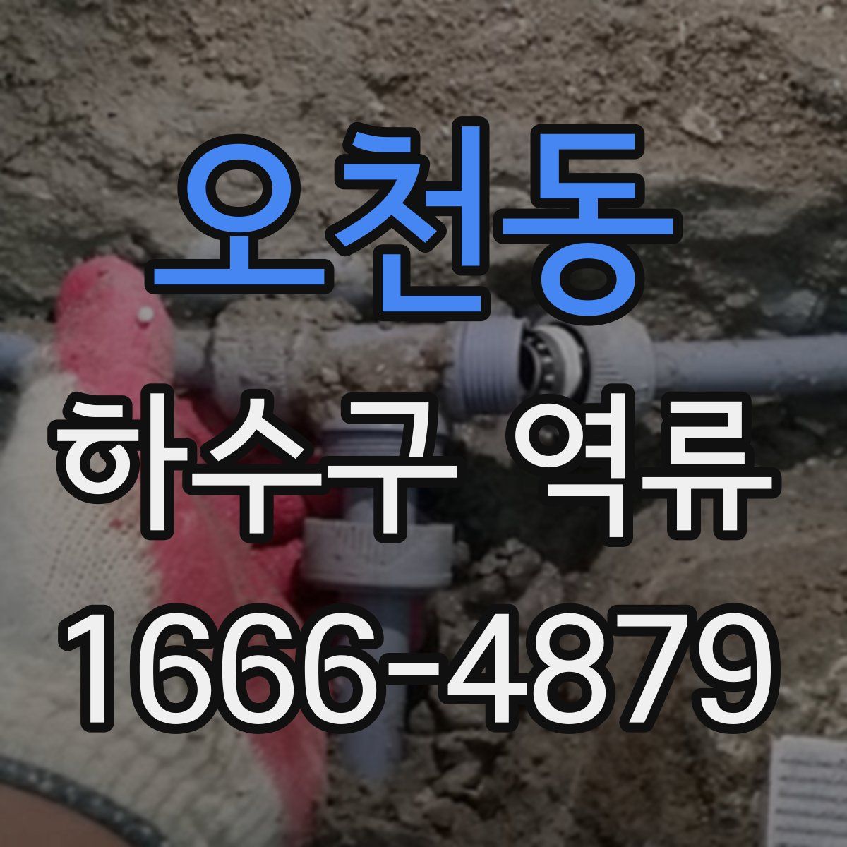 오천동 하수구 역류
