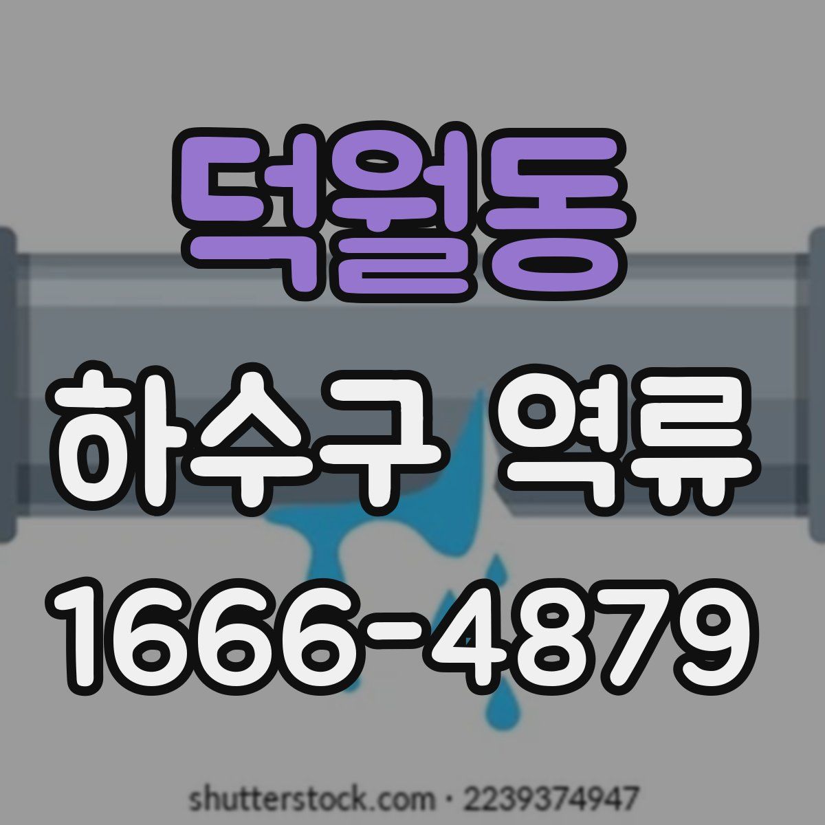 덕월동 하수구 역류