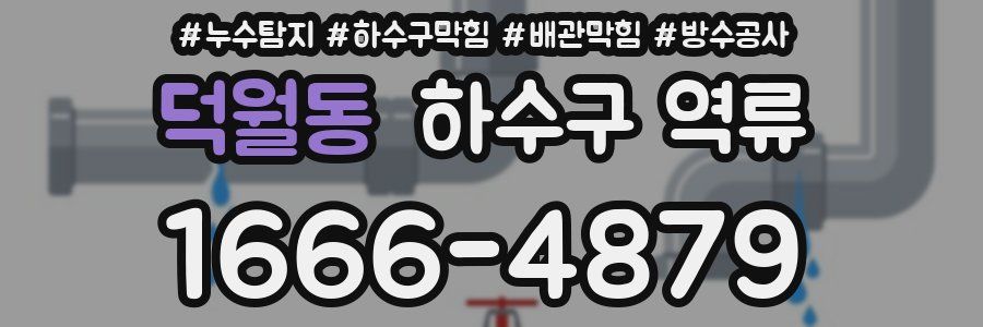 덕월동 하수구 역류