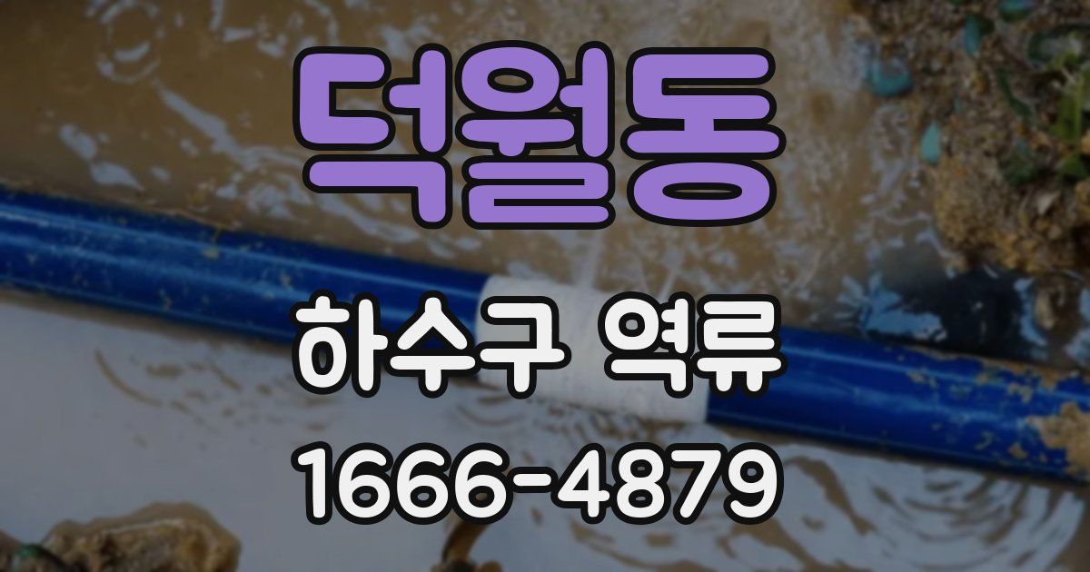 덕월동 하수구 역류