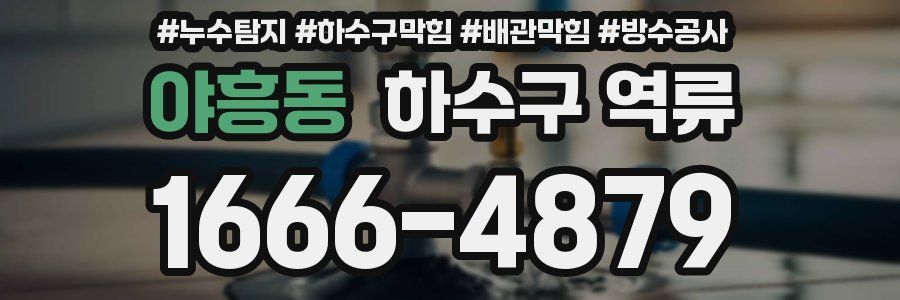 야흥동 하수구 역류