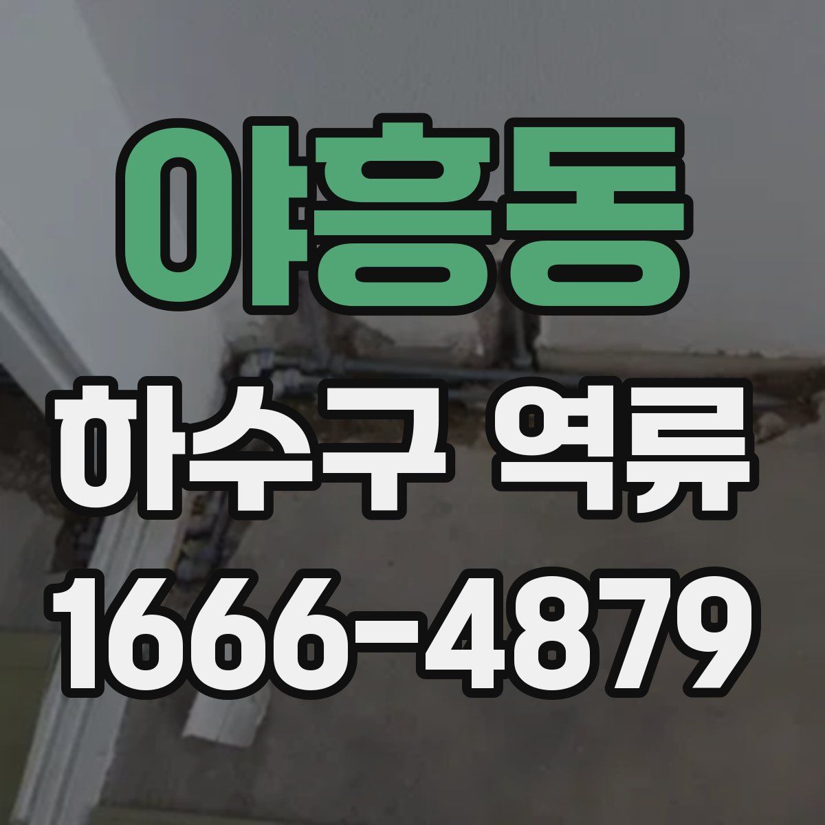 야흥동 하수구 역류