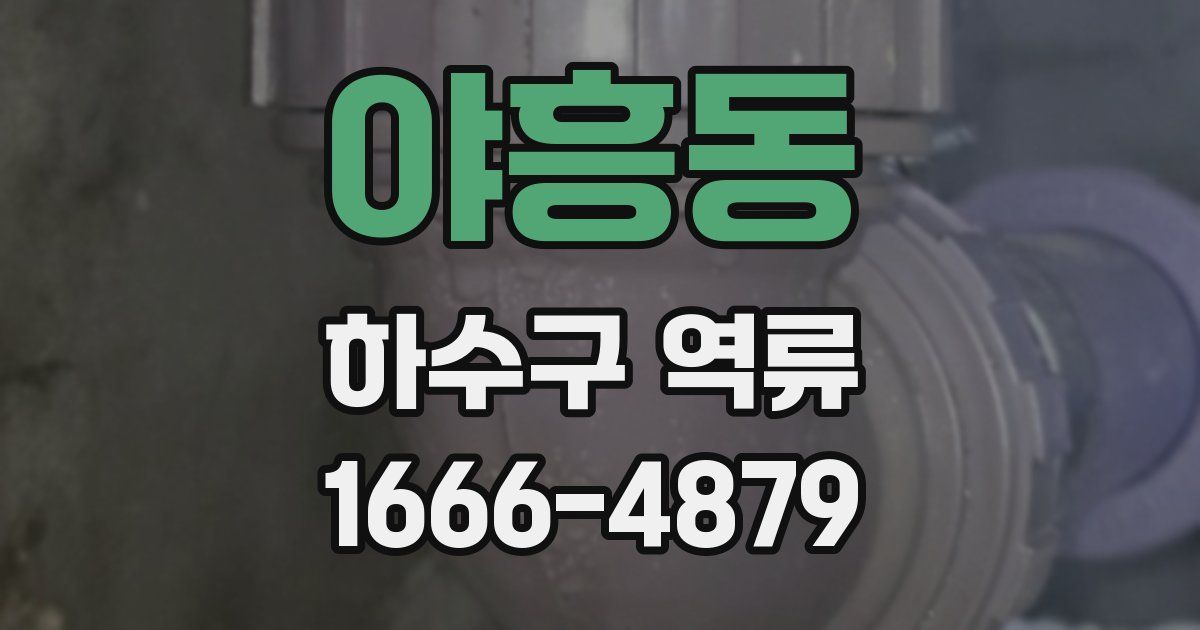 야흥동 하수구 역류